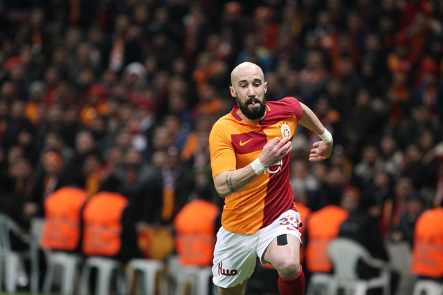 中扮演了重 中扮演了重